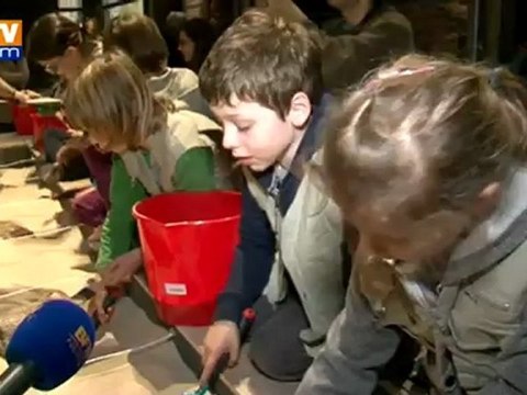 Une exposition retrace la vie des dinosaures