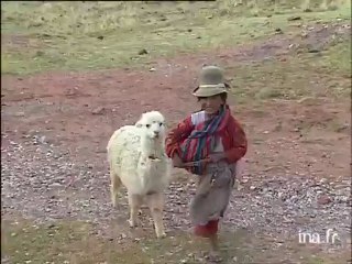 Des trains pas comme les autres - Au pays des Incas ( Partie 2/2)