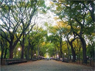 95 Central Park - New York