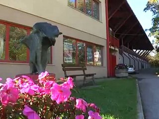 festa islamica del sacrificio al palaghiaccio