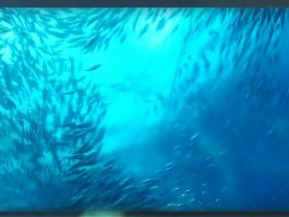 Mitigating Adverse Ecological impacts of open oceanfisheries - The MADE european project