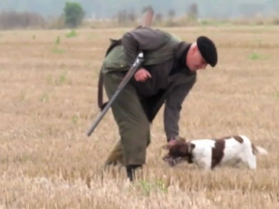 Coulommiers : une journée avec les chasseurs