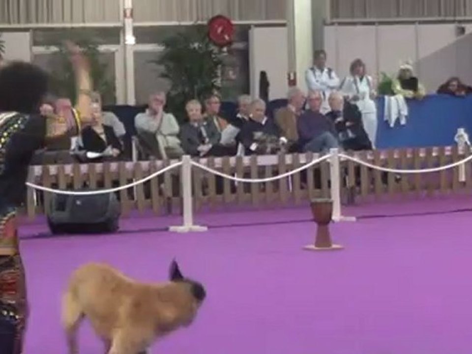 GPF 2012