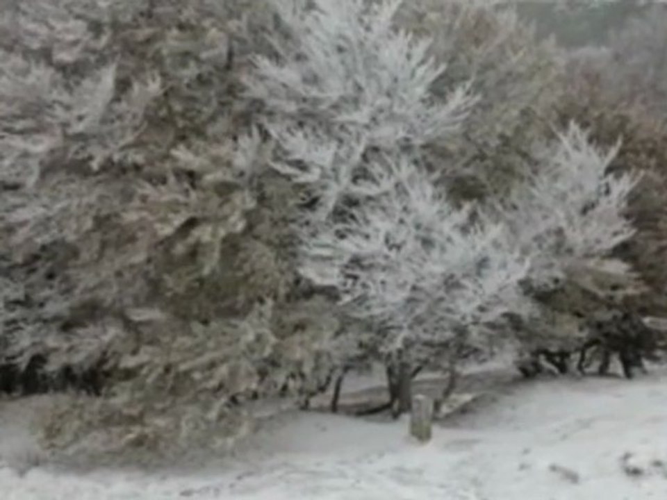 Amanecer blanco