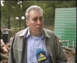 Παράνομη υλοτομία στα Δερβενοχώρια