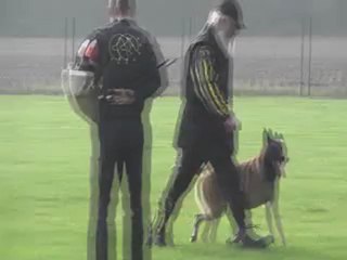 jean louis knops grand prix 2012