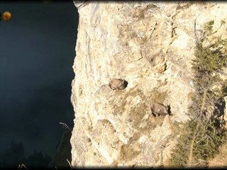 Niederhorn - Beatenberg