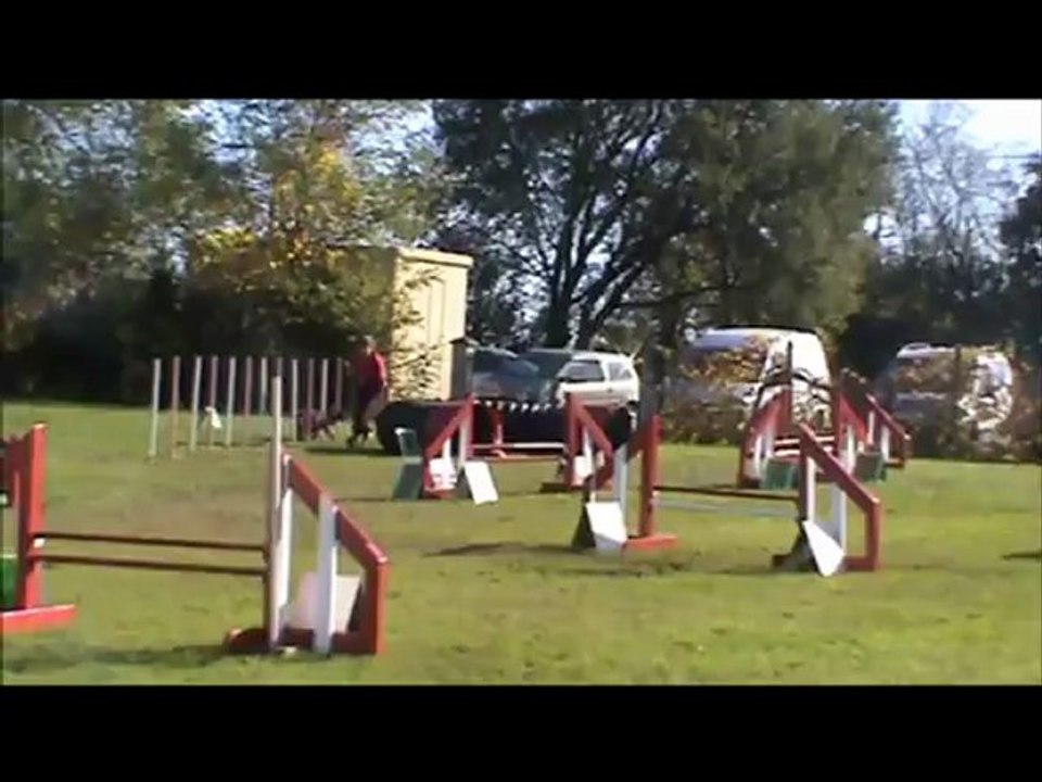 Carla & City Concours Agility à Tresse le 28 Octobre 2012