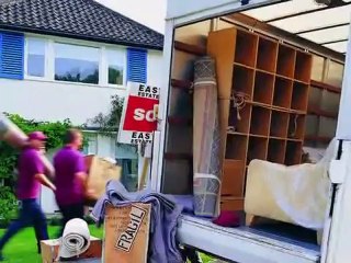 LEO-VAN MAN AND VAN / REMOVALS