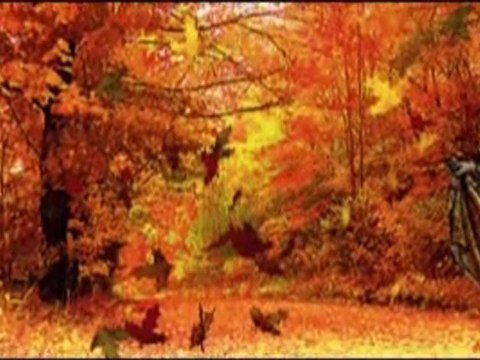 Jak przeżyc wszystko jeszcze raz ♥ Krzysztof Krawczyk