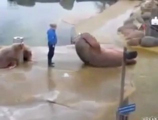 مشهد غريب جدا جدا