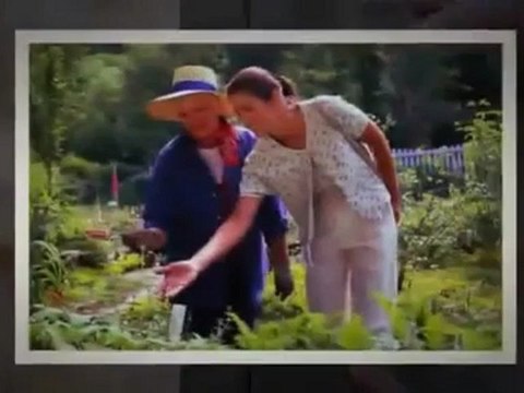 Velas Flotantes Para Piscinas - Velas Kala El Tiempo Eterno - Rosario