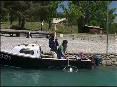 vidéo de pêche aux carnassiers