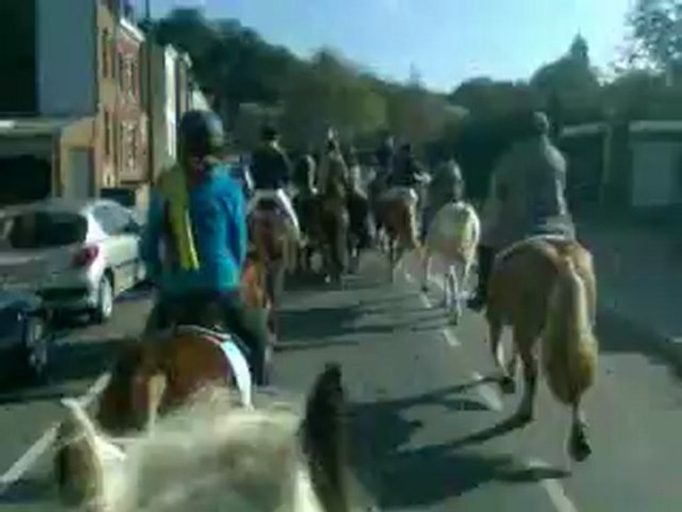 Saint Hubert de Namur 2012