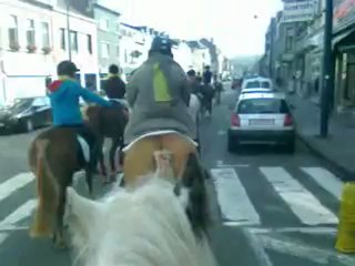 Saint Hubert de Namur 2012