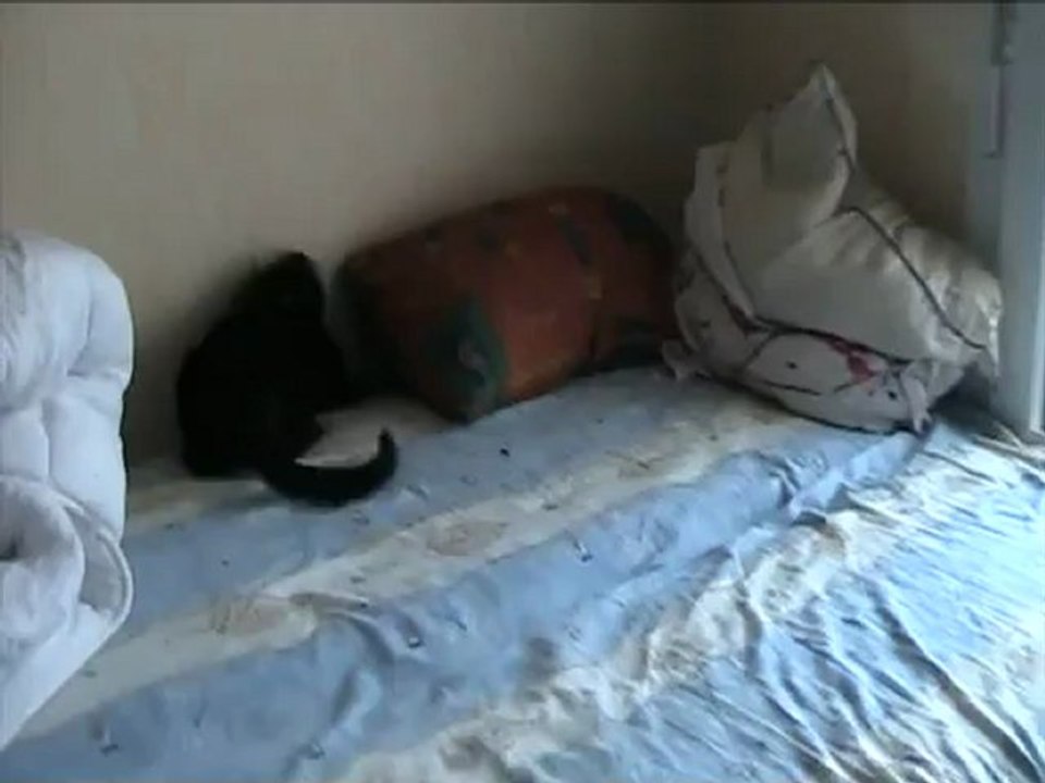 20 10 12 Dédé 02