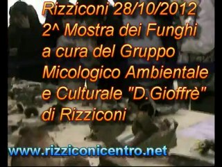 Rizziconi 2^ mostra dei funghi
