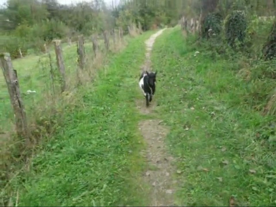 Première ballade en liberté avec Scrat