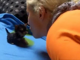 En Video: La competencia del perro más pequeño del mundo