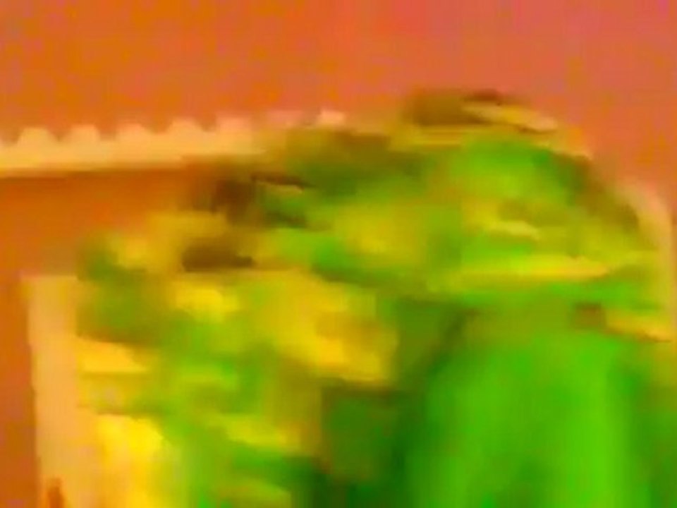 Selçuk Yıldız -halay halaylar  @ MEHMET ALİ ARSLAN Videos