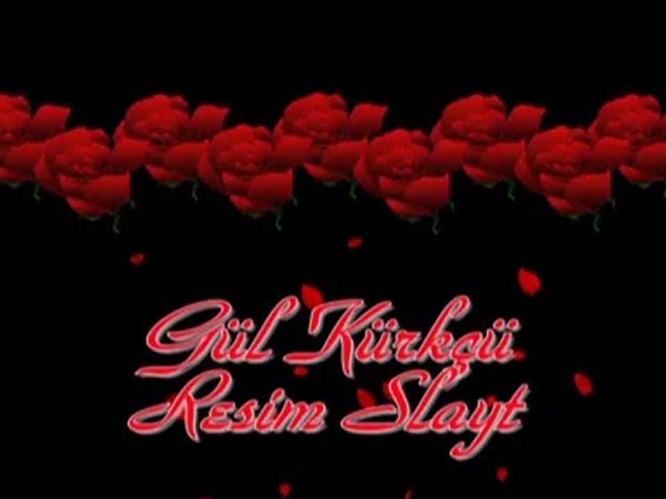 Gül Kürkçü  Resim Slayt