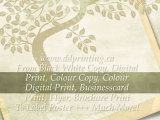 Copy & Print Store High Quality Copy & Print Store.