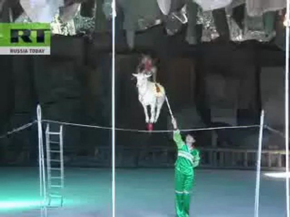 Balancing goat performance