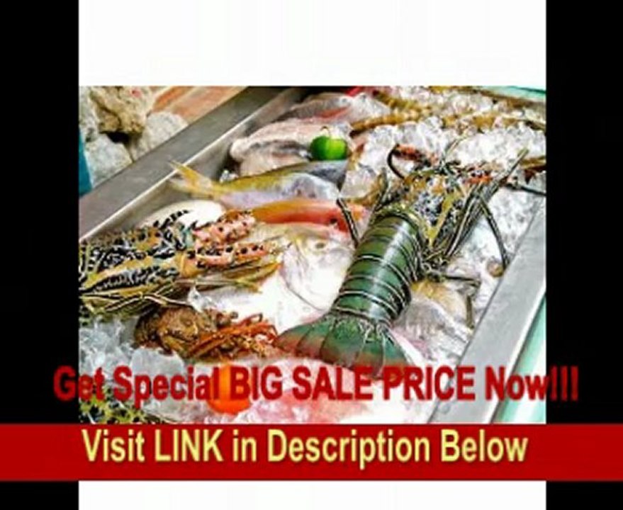 Leica V-Lux2 Super Zoom Digital Camera with 14.1 Megapixels CMOS Sensor, 24x Optical Zoom, 1080i AVCHD Full HD Video Recording (18393)