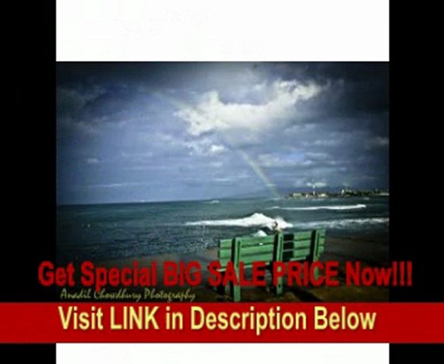 Canon EOS-1Ds 11.1MP Digital SLR Camera (Body Only)