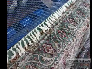 How To Service Pet Stain Removal In Pinecrest - OrientalRugCare.Com