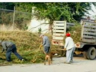 DIARIO NOTICIAS lunes 29 de Octubre 2012