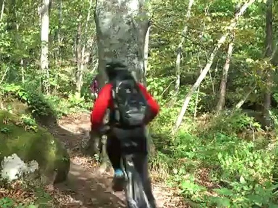 rase durch Oirase ohne Radar nach Towada