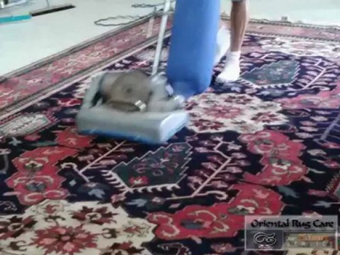 How To Service Carpet Cleaning In Pinecrest - OrientalRugCare.Com - 305-354-7677