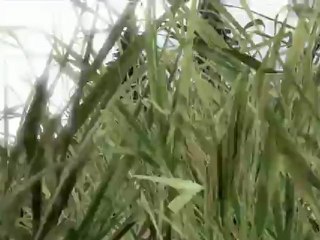 Chase pt:1 "Drive it like you Stole it"