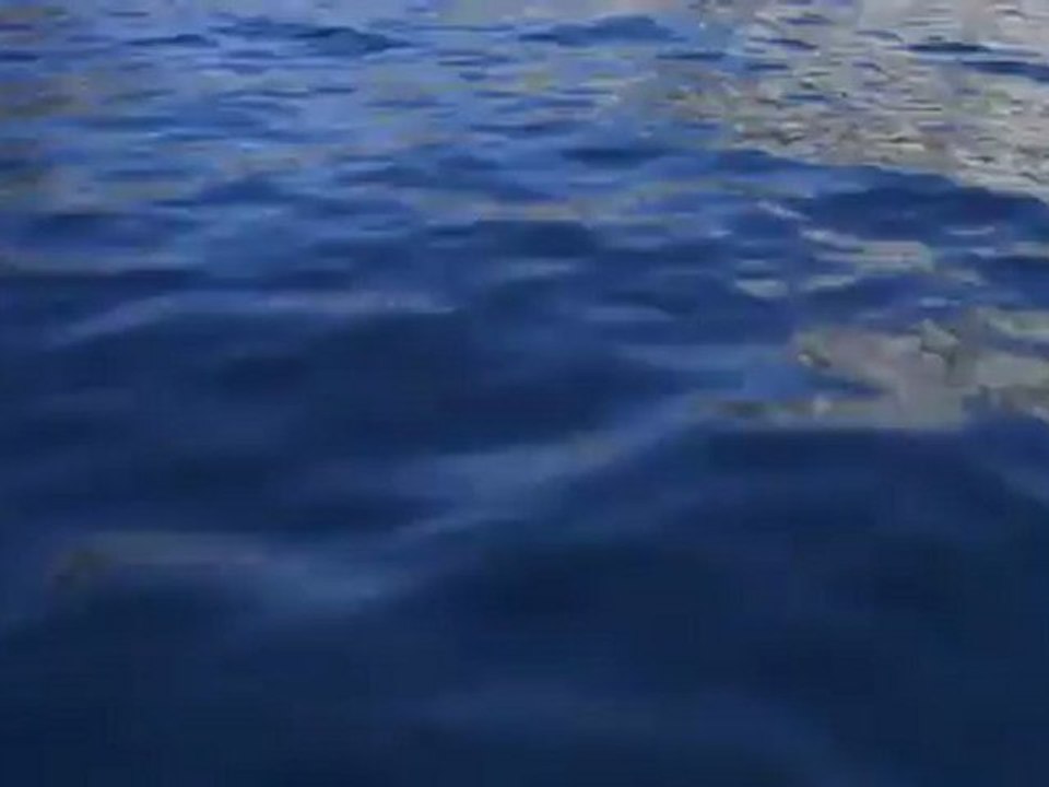 Le poisson des abymes (extrait)