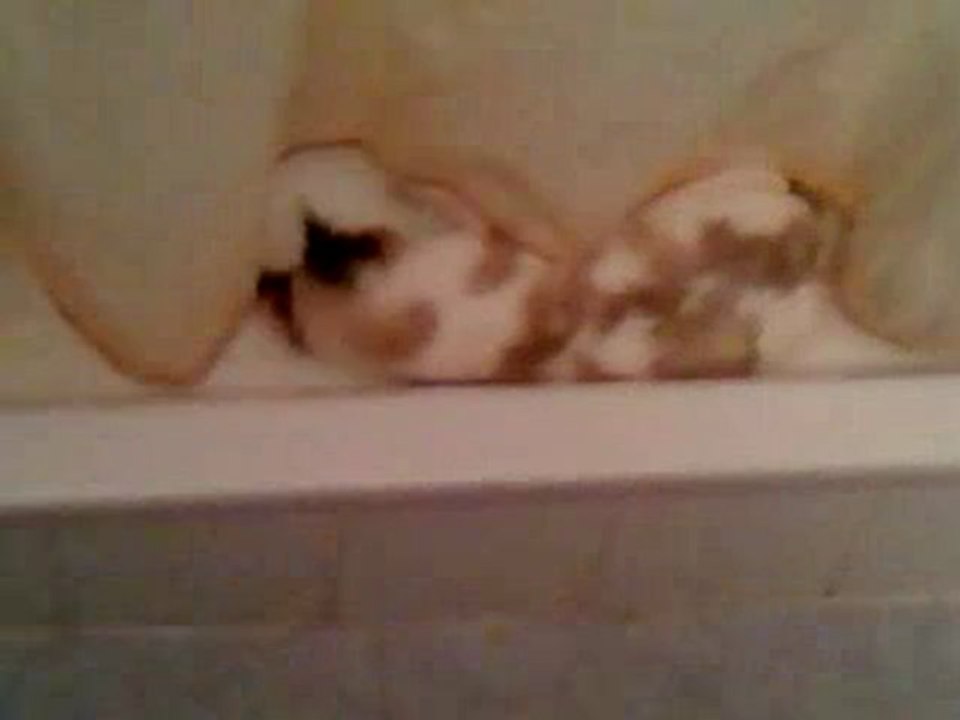 La douche