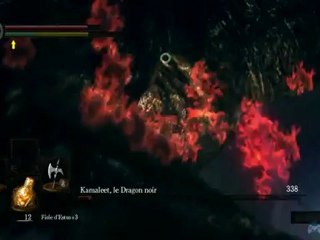 Dark Souls - Kamaleet le Dragon noir