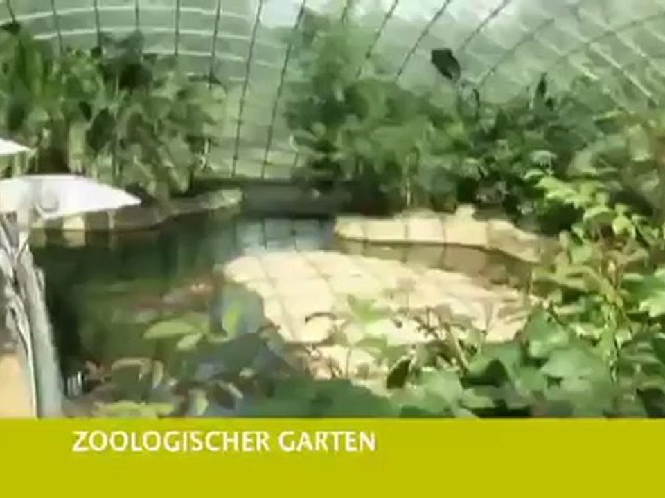 Berlin - Familienurlaub in der Metropole | Hin