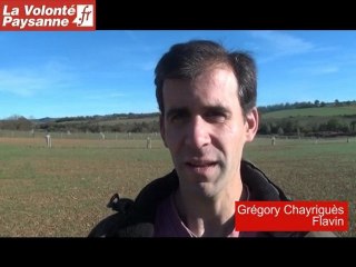 Agroforesterie : un projet innovant en Aveyron