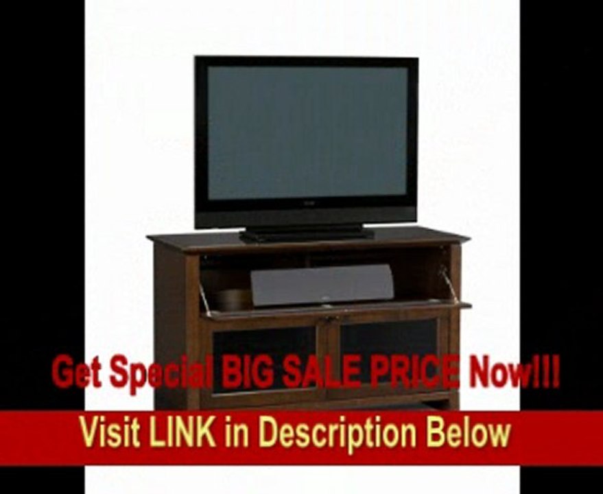 BDI Novia 8428, Double Wide Enclosed Cabinet - Cocoa Stained Cherry