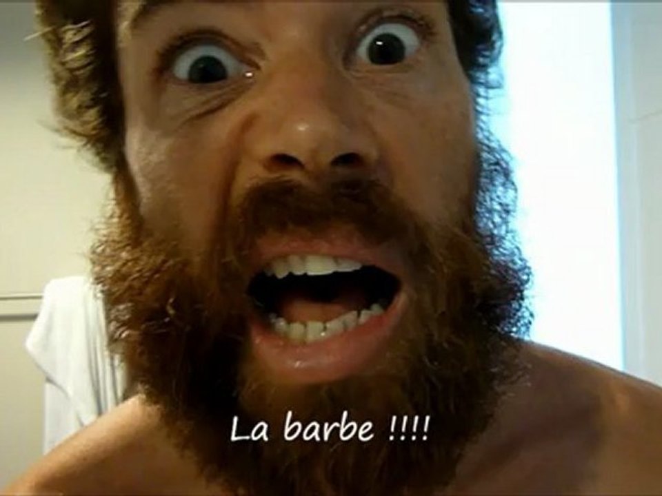 La barbe