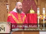 Oct 29 - Homily: Virtues of Charity