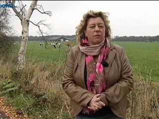 Het Weer [29-10-2012] - RTV Noord