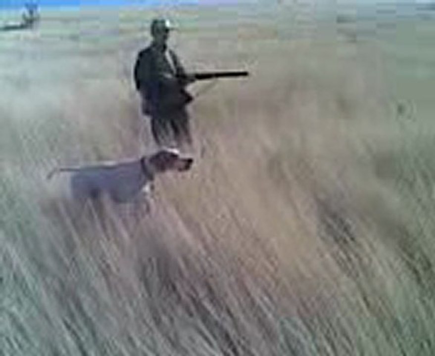 Video002