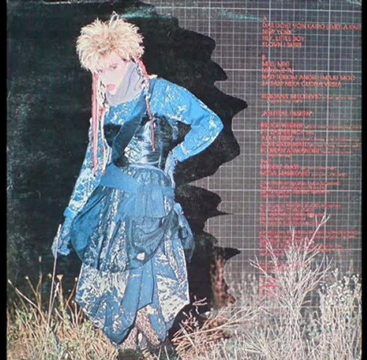 JA SAM NEKA ČUDNA VRSTA - SLAĐANA MILOŠEVIĆ (1983)