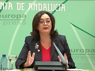 Junta espera que Wert "no se case" con ideas del PP