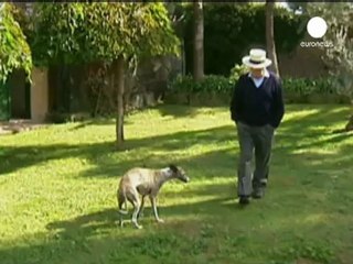 Addio a Henze, compositore atonale che amò la melodia