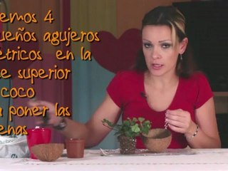 Manualidades: macetero con cáscara de coco