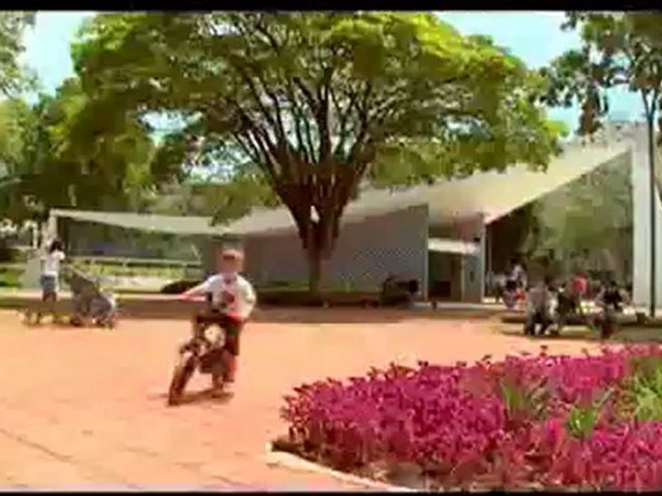 BRASIL PANORAMA