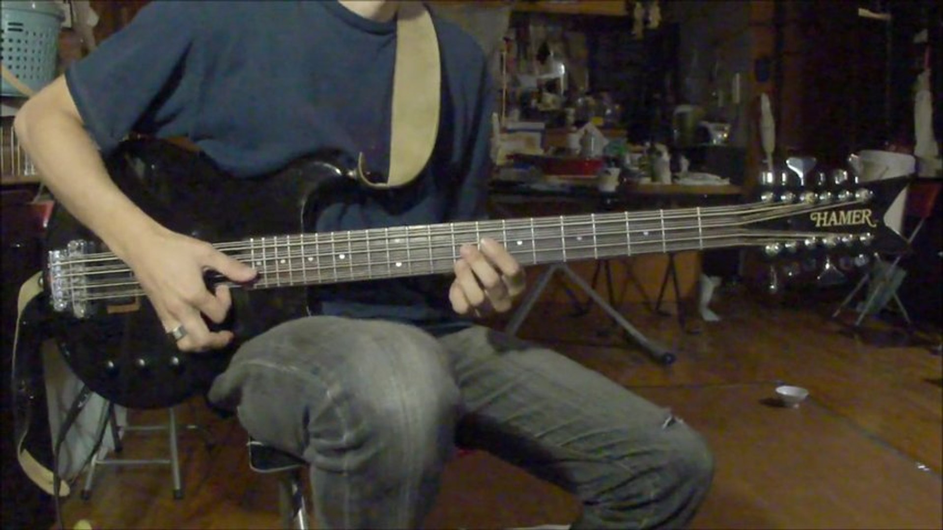 12弦ベース スラップ 12 String Bass Slapping 動画 Dailymotion
